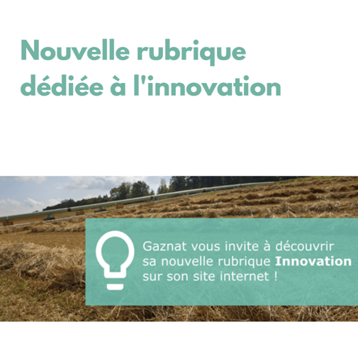 Innovation & Gaznat!  Gaznat's website is enriched with a new section.
